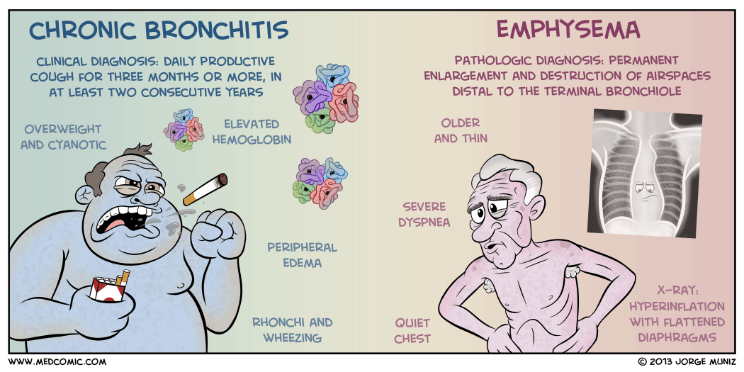 pathophysiology of bronchiolitis pdf