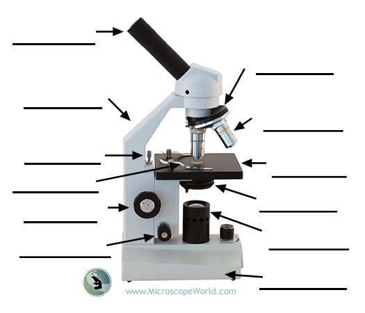 microscope pdf notes