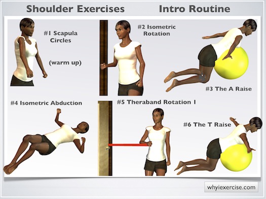 shoulder stabilisation exercises pdf